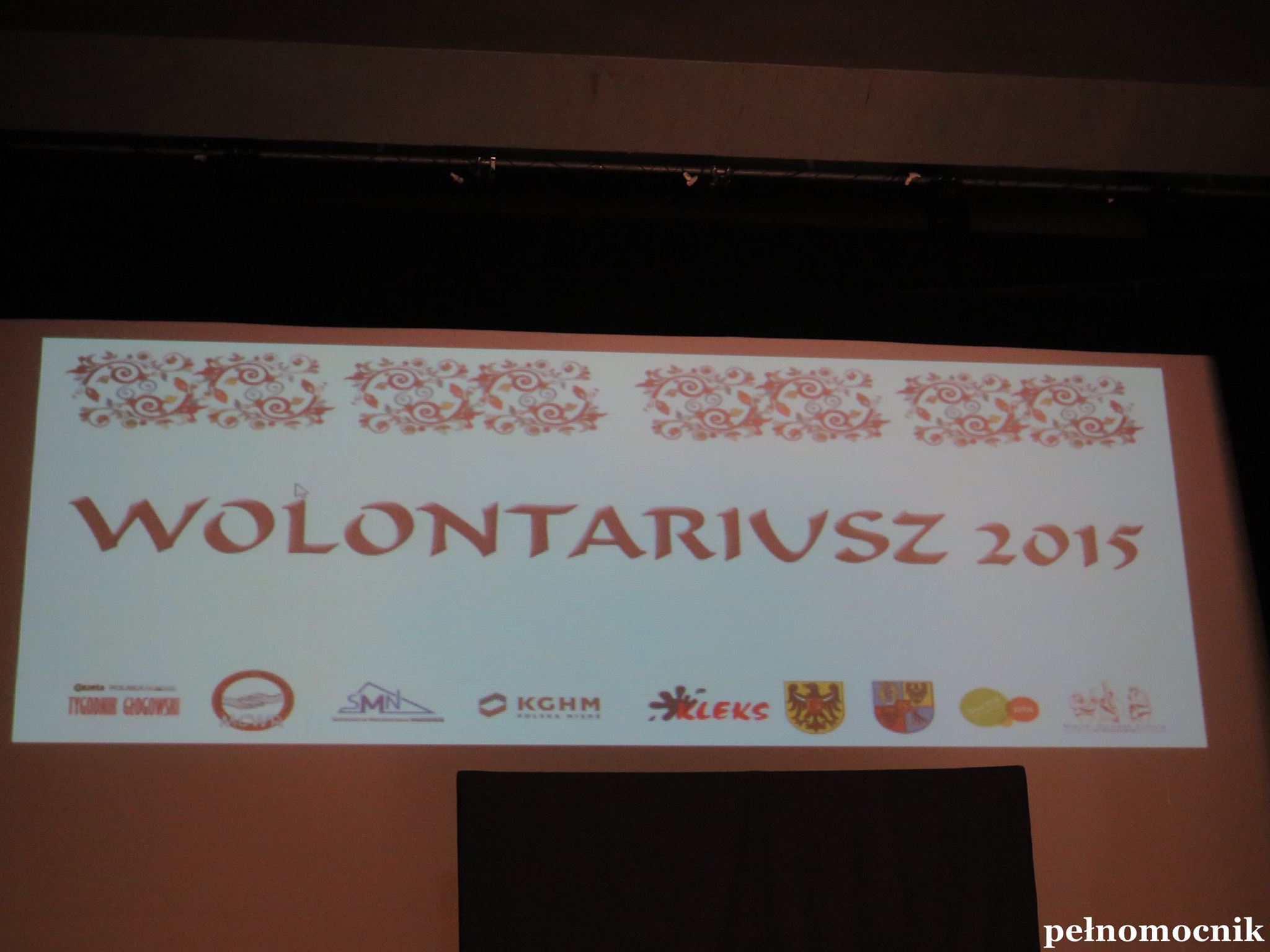 Ilustracja wprowadzenia: Wolontariusz 2015 .
