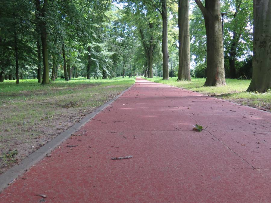 Ilustracja wprowadzenia: Będą stacje napraw rowerów