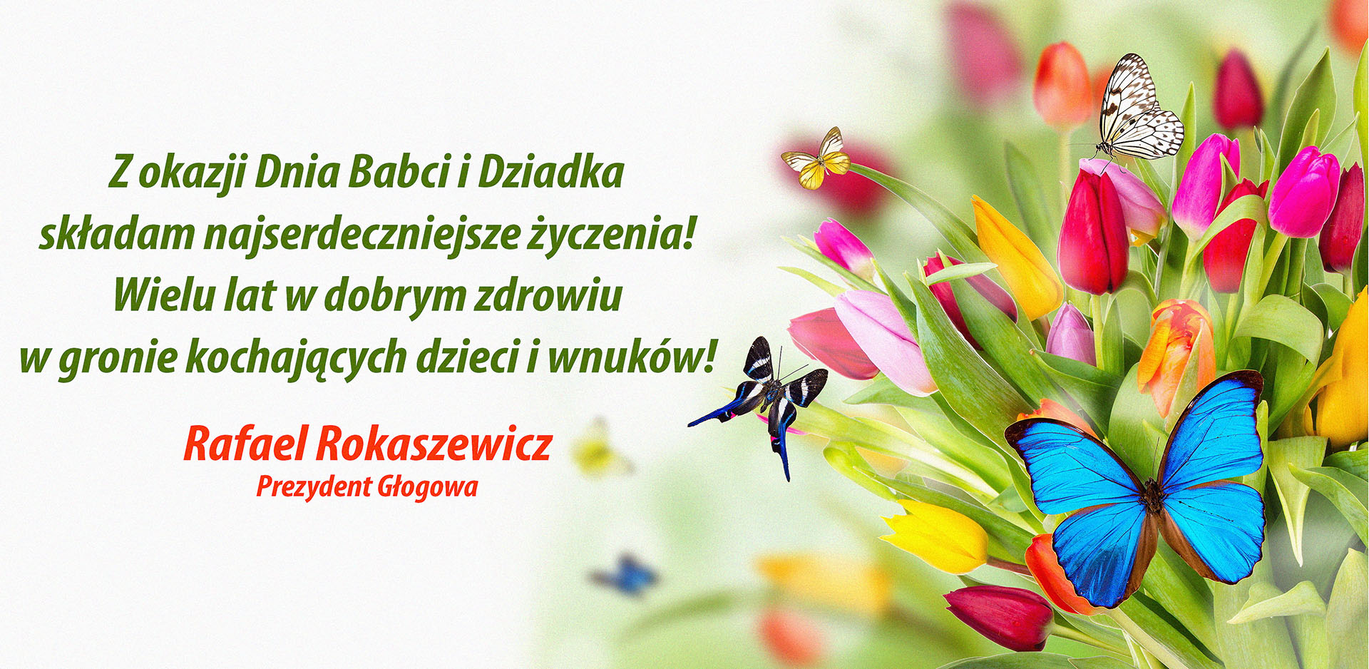Ilustracja do artykuły: Życzenia dla Babci i Dziadka.