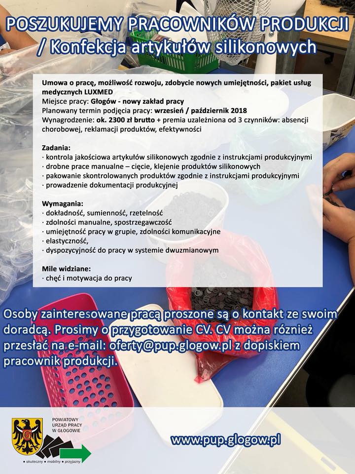Firma szuka pracownik&oacute;w w Głogowie - zdjęcie 1