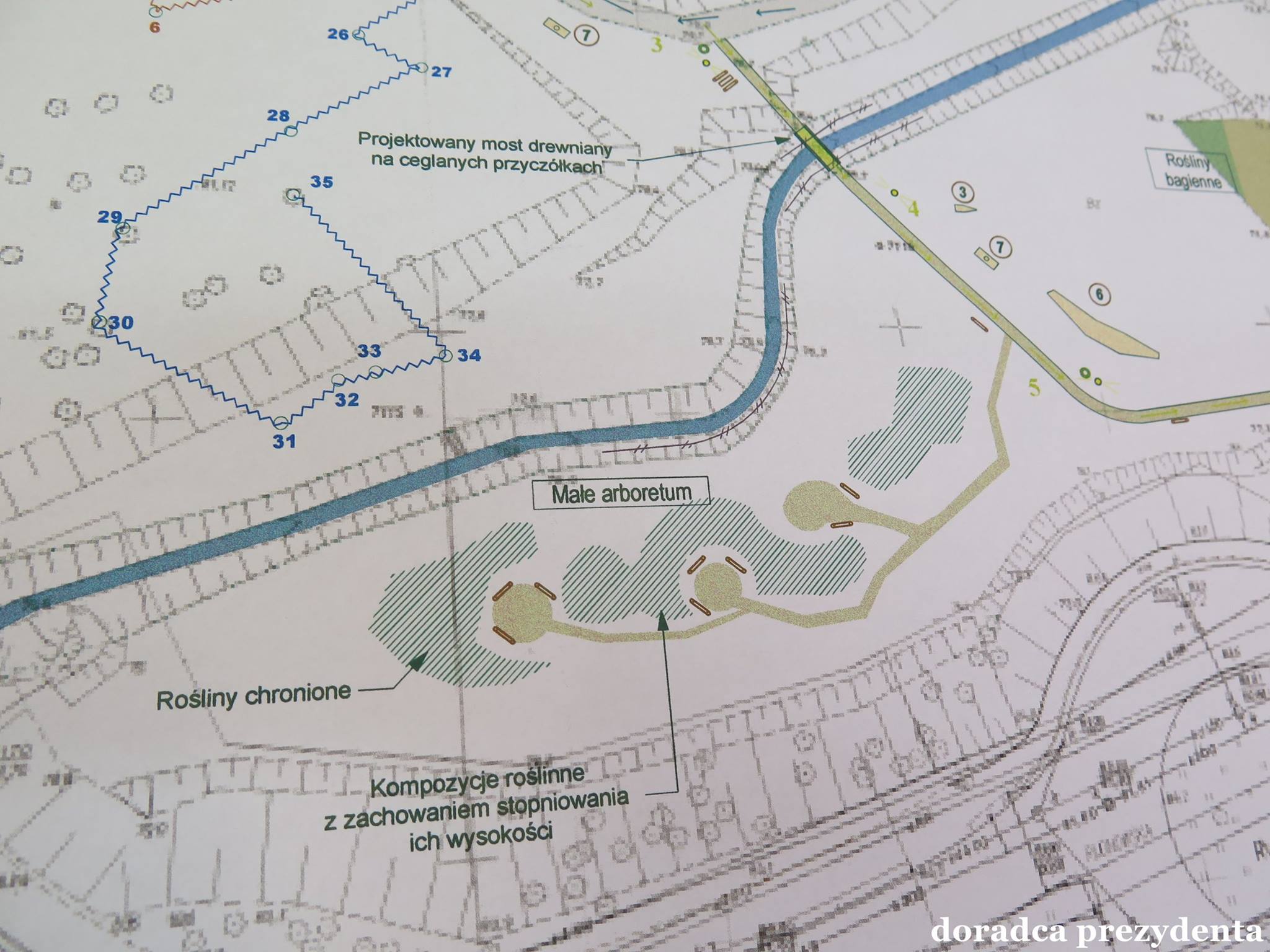 Ilustracja wprowadzenia: Zagospodarownie Parku Piastowskiego.