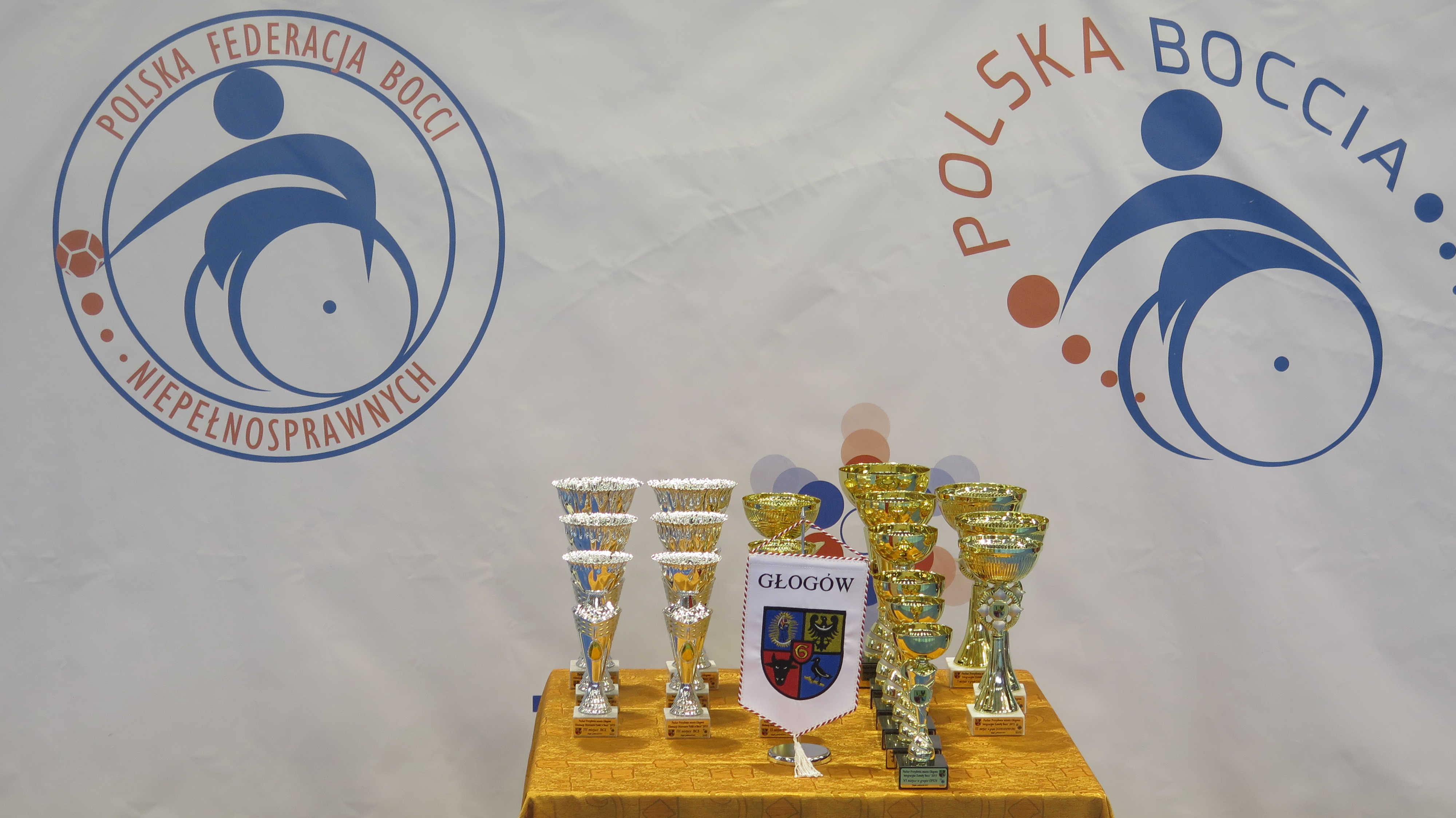 Eliminacje do Mistrzostw Polski Os&oacute;b Niepełnosprawnych w Bocci. - zdjęcie 3