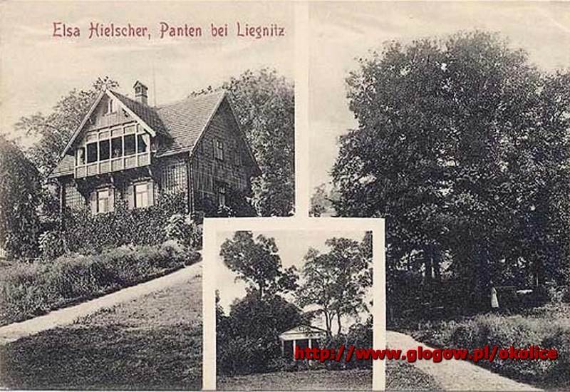 Pątnów Legnicki Panten