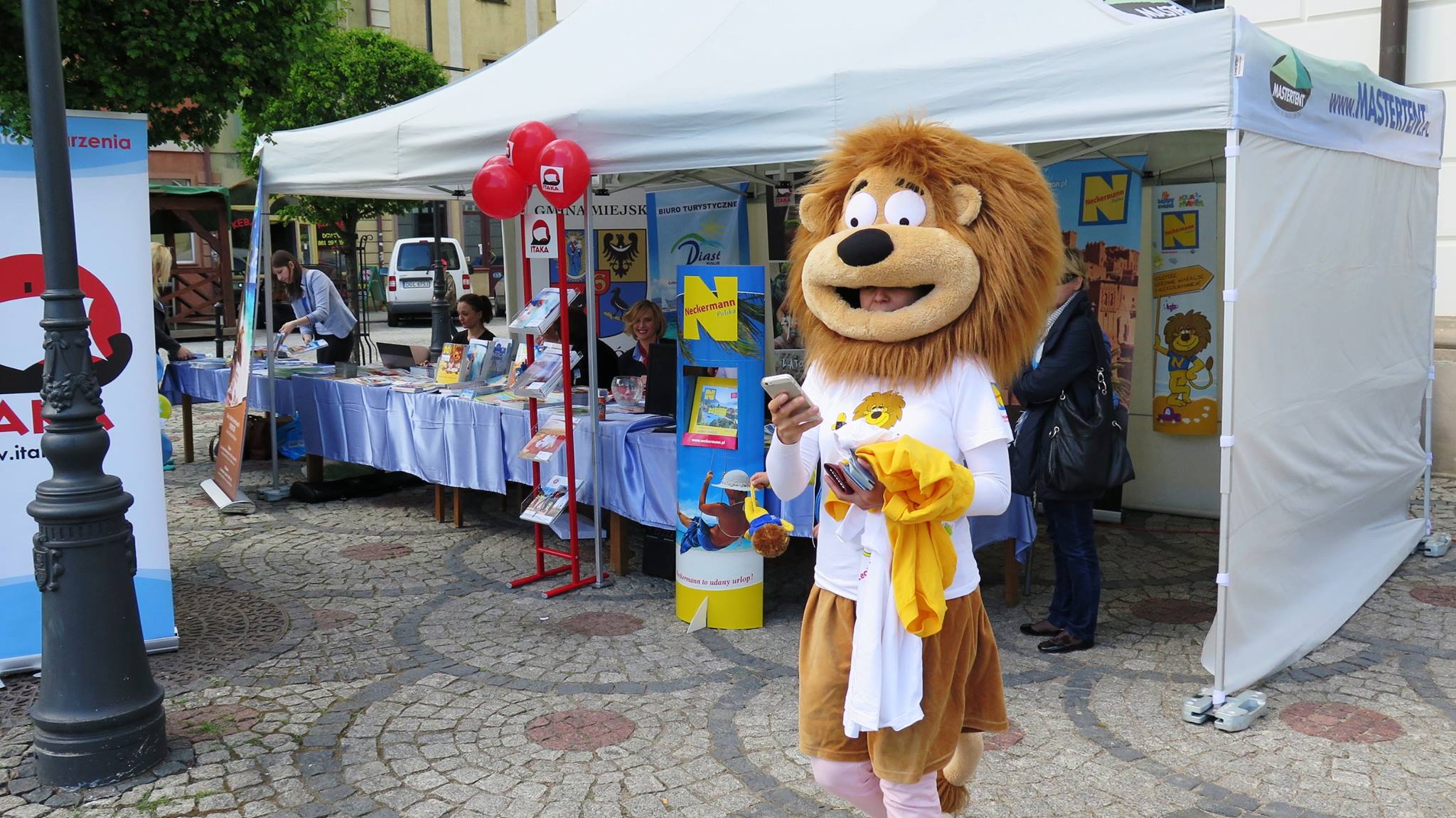 MAJÓWKA