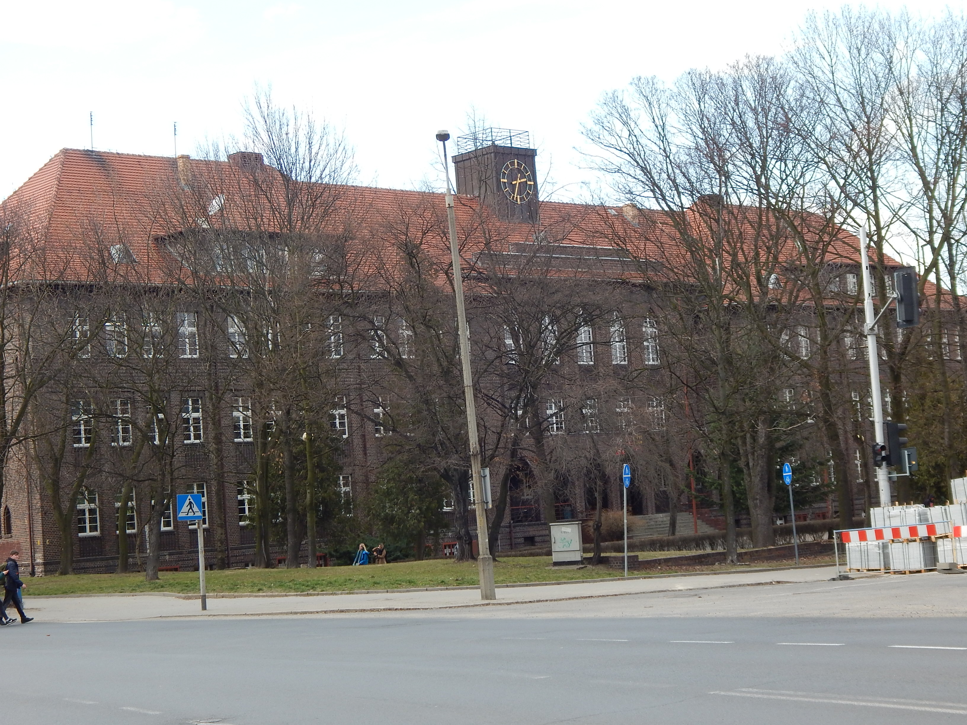 Chodzi już 13 lat - zdjęcie 7