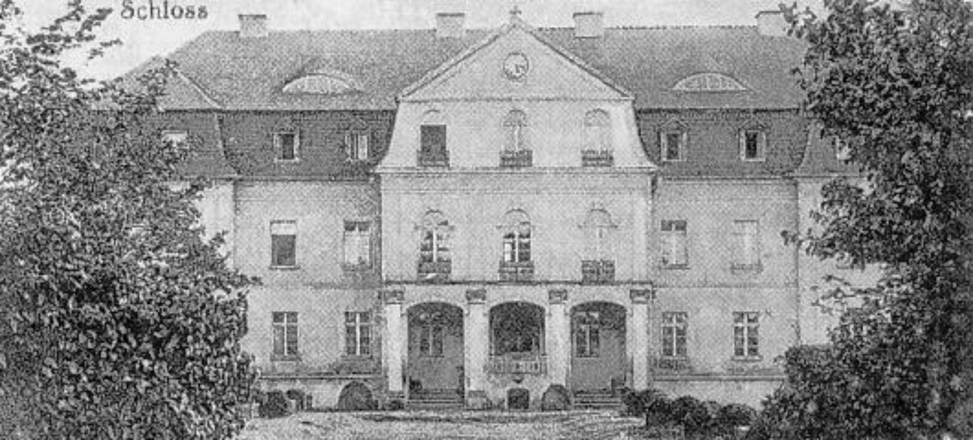 Pałac w Jerzmanowej - zdjęcie 7