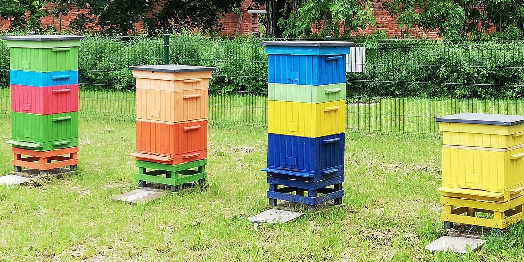 Pasieka oficjalnie "otwarta". - zdjęcie 1