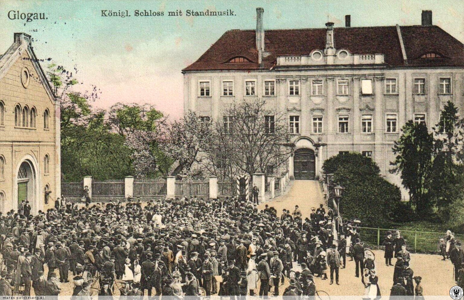 Zamek Książąt Głogowskich - zdjęcie 4