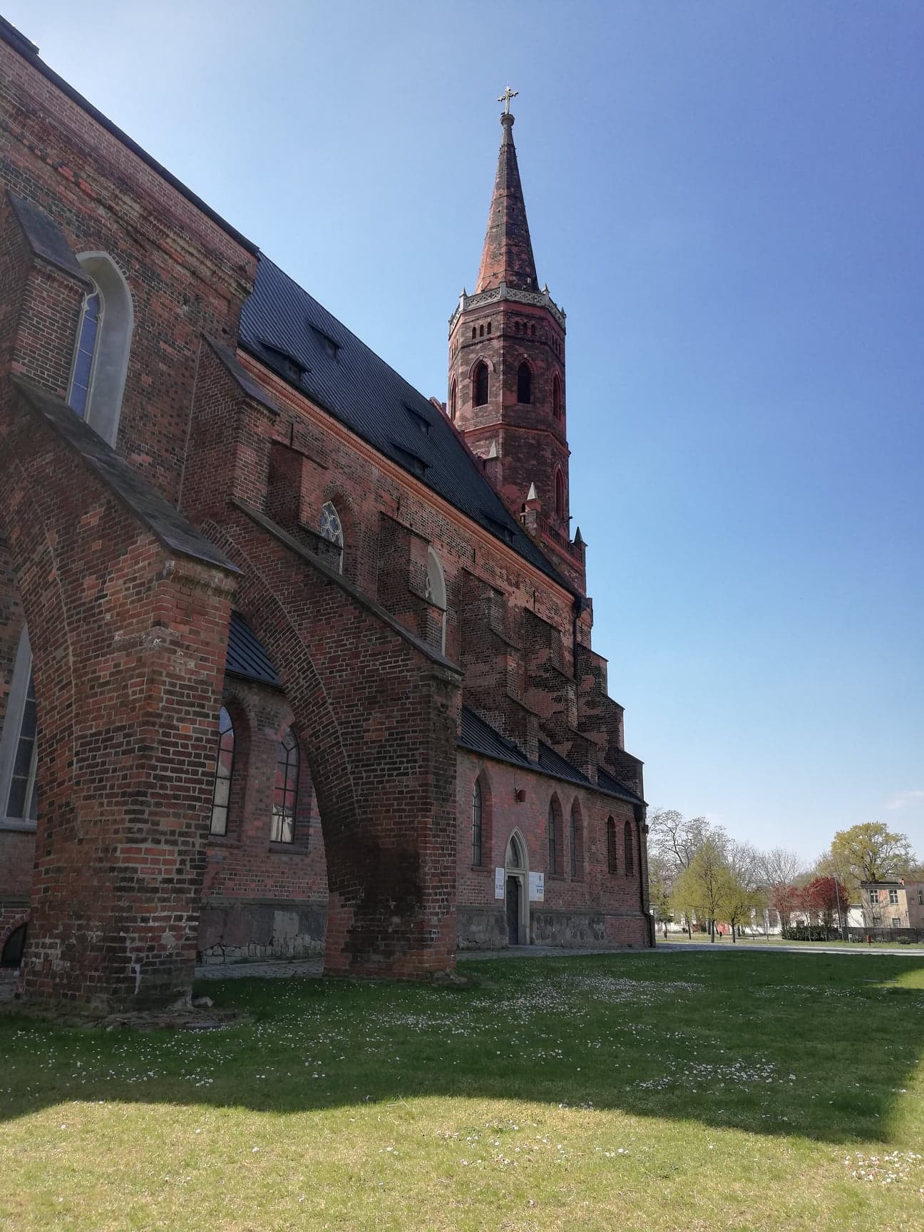 Wieża Kolegiacka - zdjęcie 5