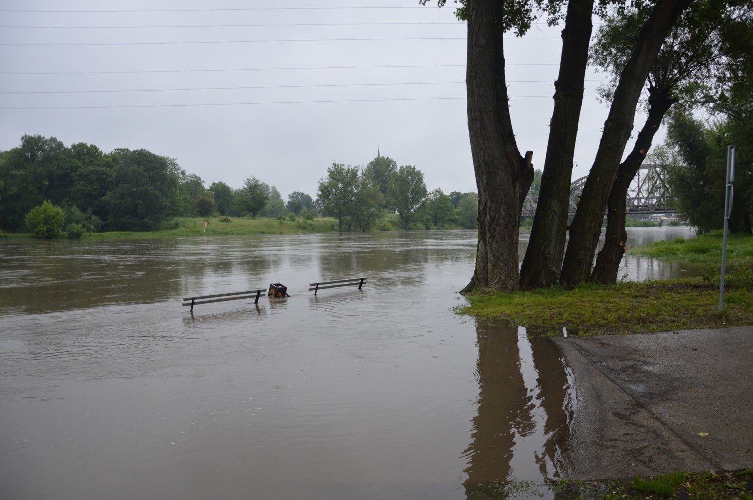 Odra - nieobliczalna rzeka - zdjęcie 5