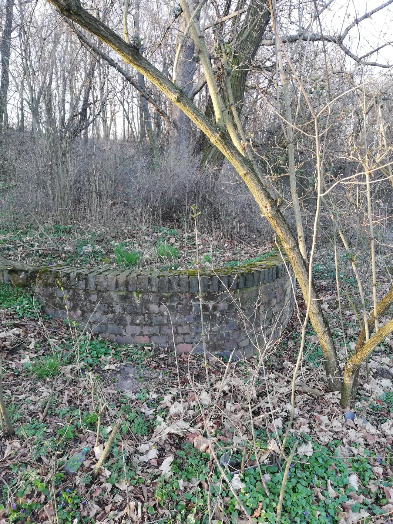 Wieża Bismarcka w Głogowie - zdjęcie 8