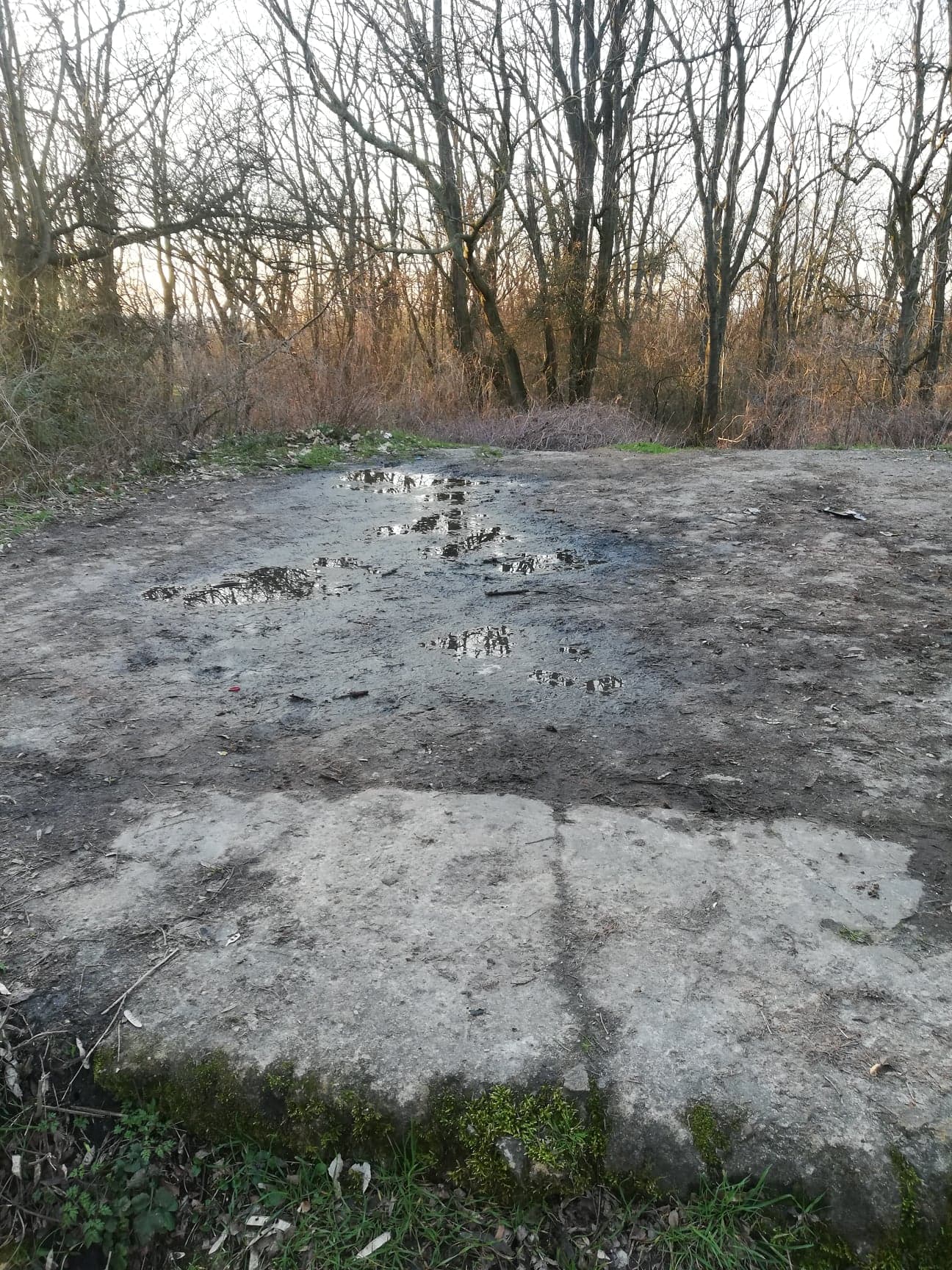 Wieża Bismarcka w Głogowie - zdjęcie 7