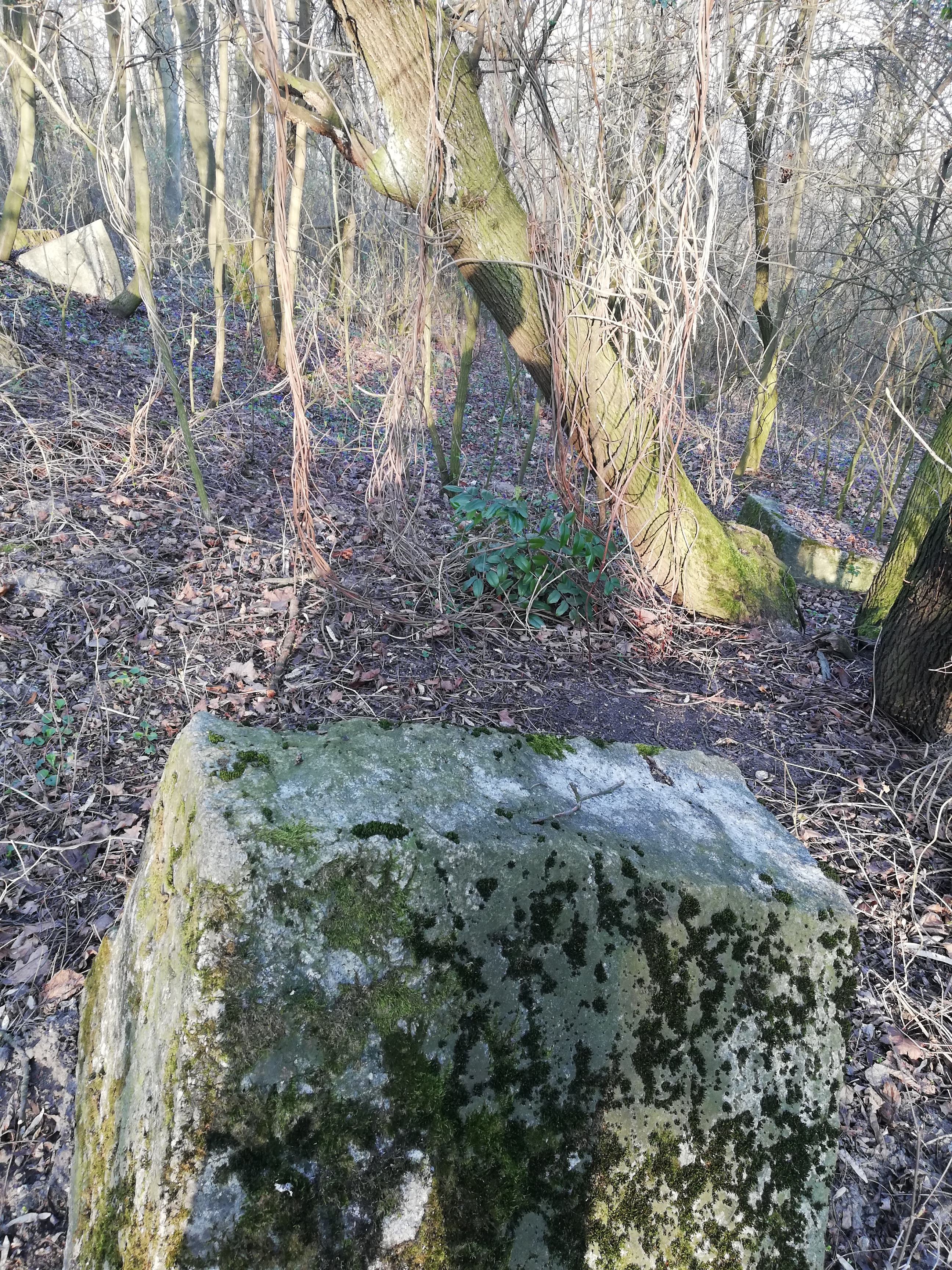 Wieża Bismarcka w Głogowie - zdjęcie 10