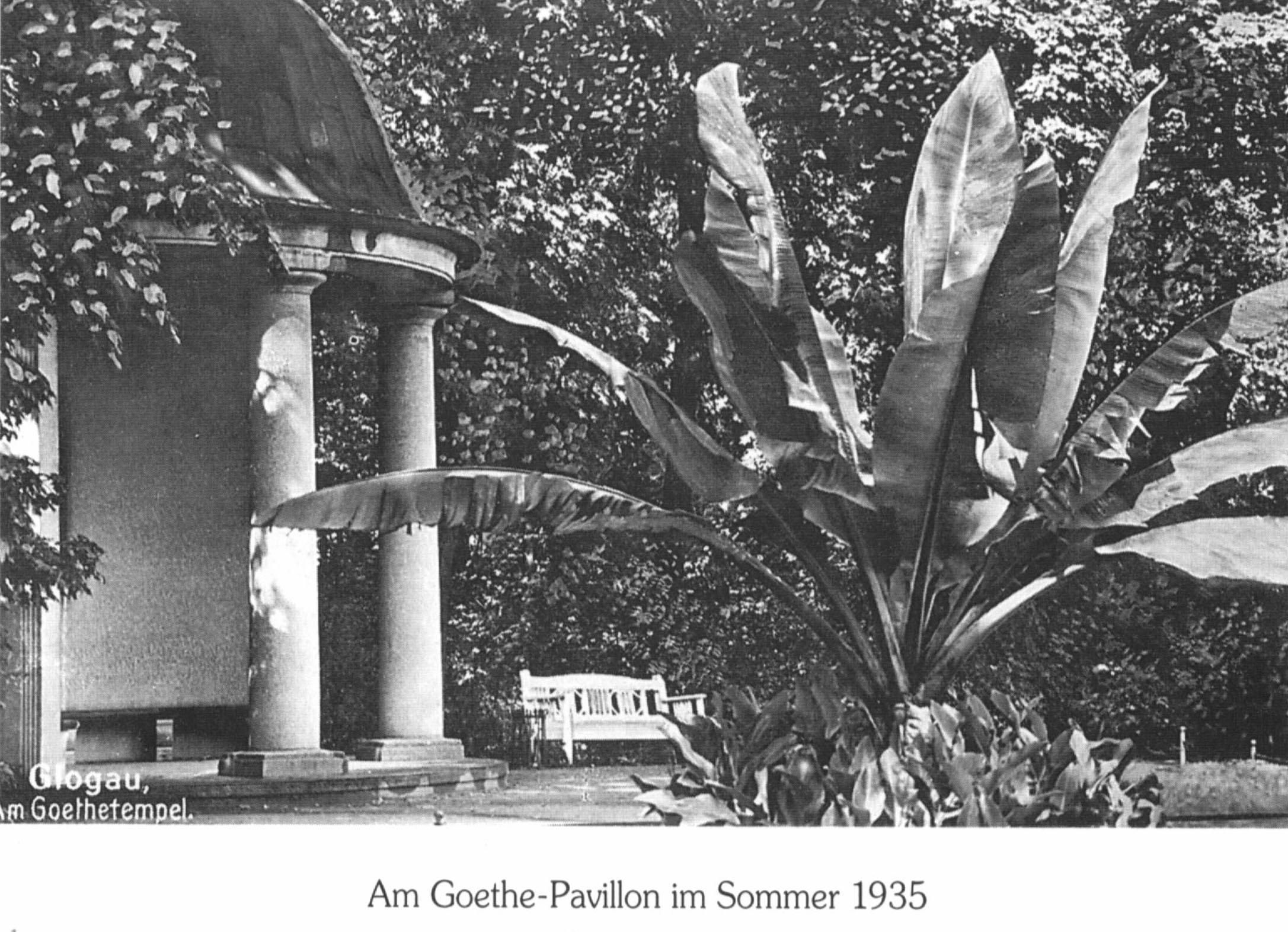 Pawilon Goethego w Głogowie - zdjęcie 3