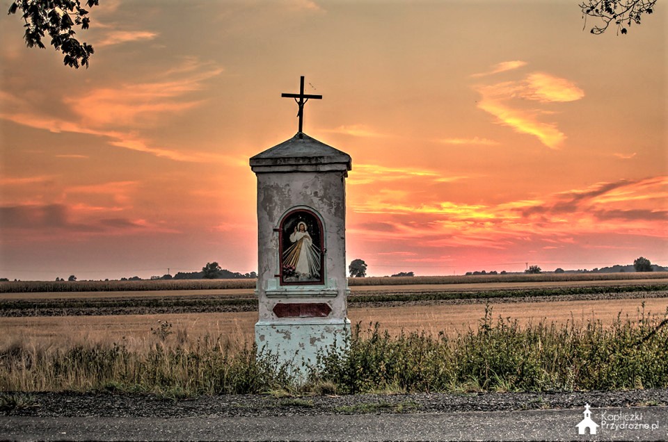 Sobczyce - zdjęcie 5