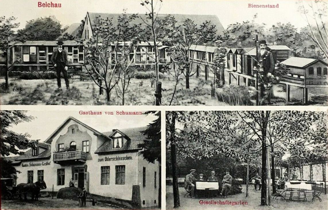 Ilustracja do artykuły: Biechów