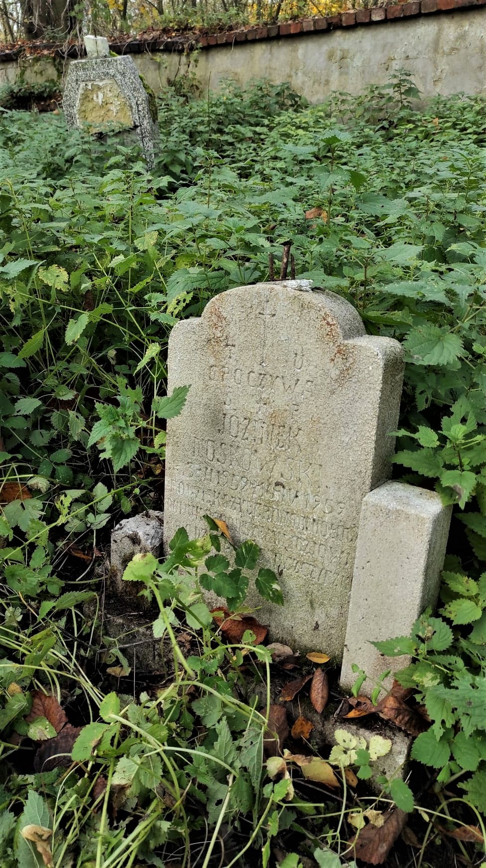 Rapocin - zdjęcie 9