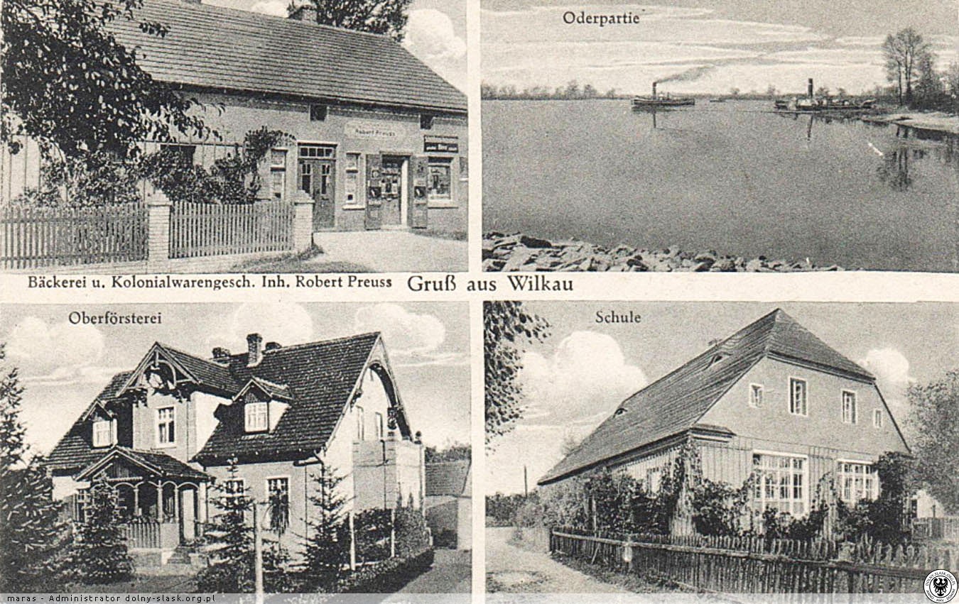 Wilków - zdjęcie 1