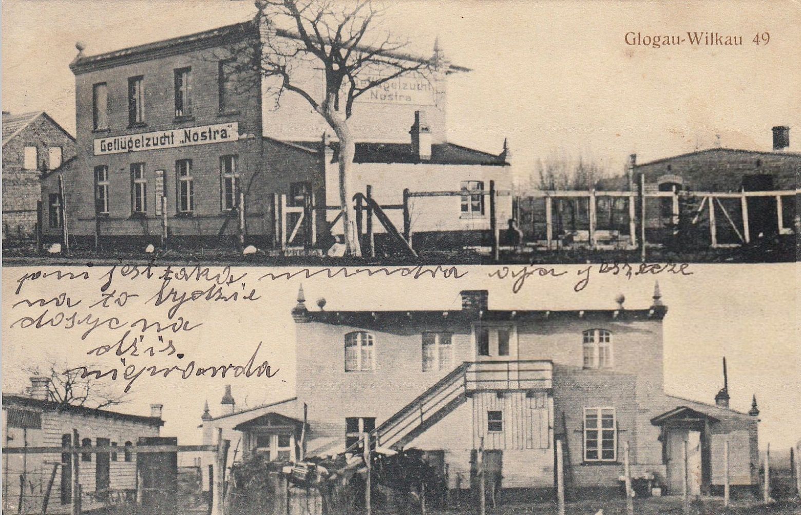 Wilków - zdjęcie 2