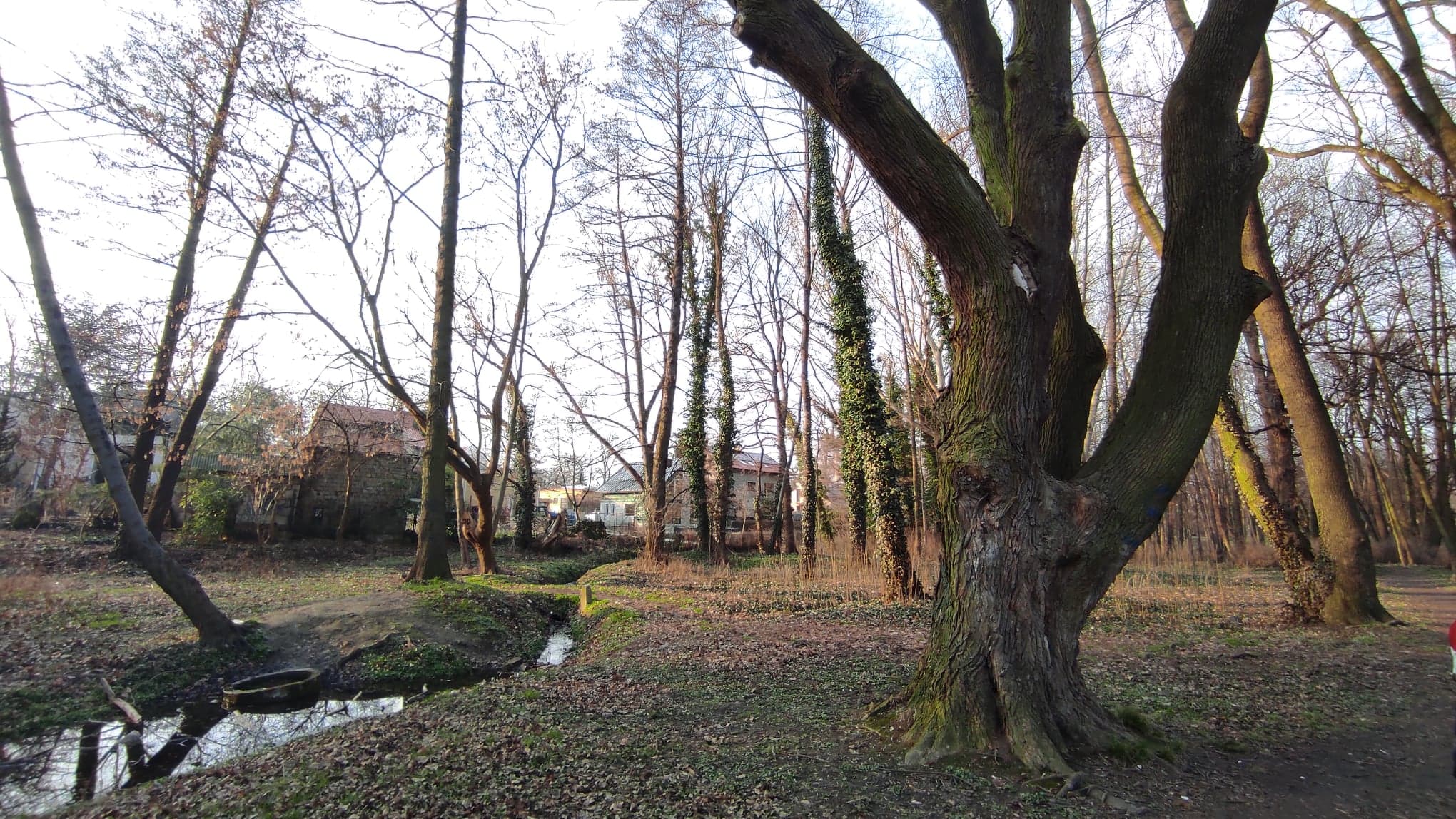 Park Nad Strumykiem - zdjęcie 8