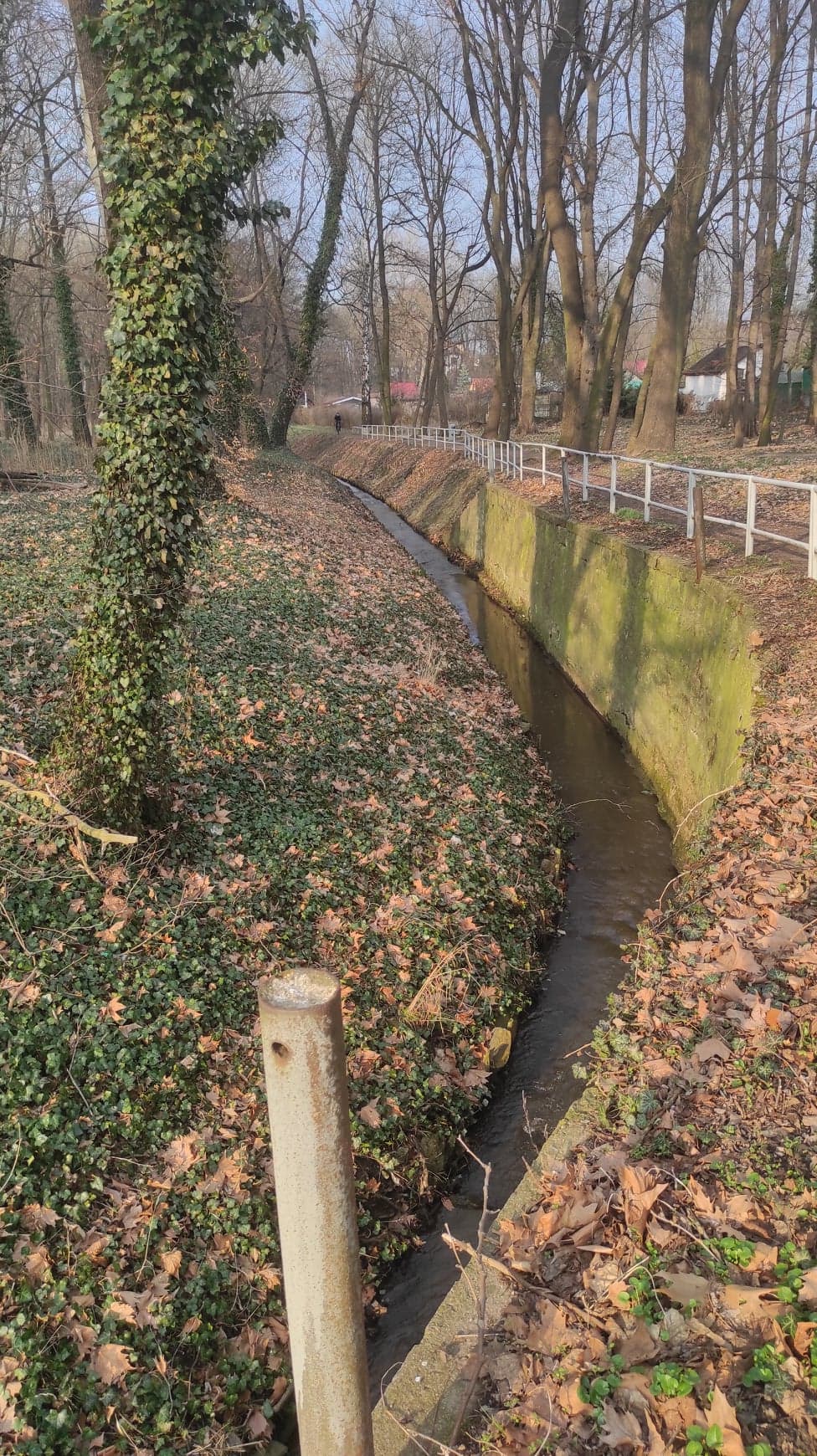 Park Nad Strumykiem - zdjęcie 9