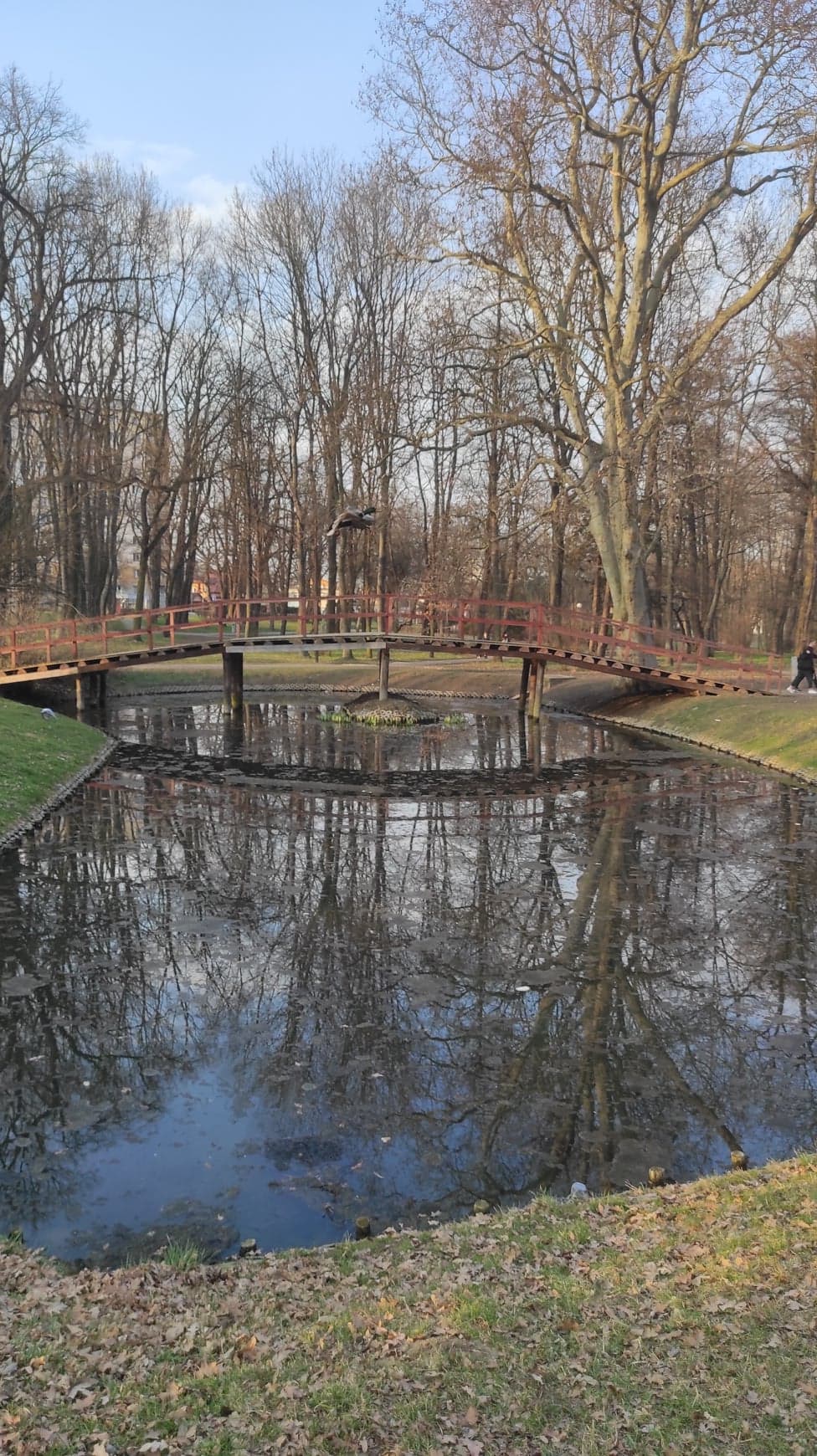 Park Nad Strumykiem - zdjęcie 10