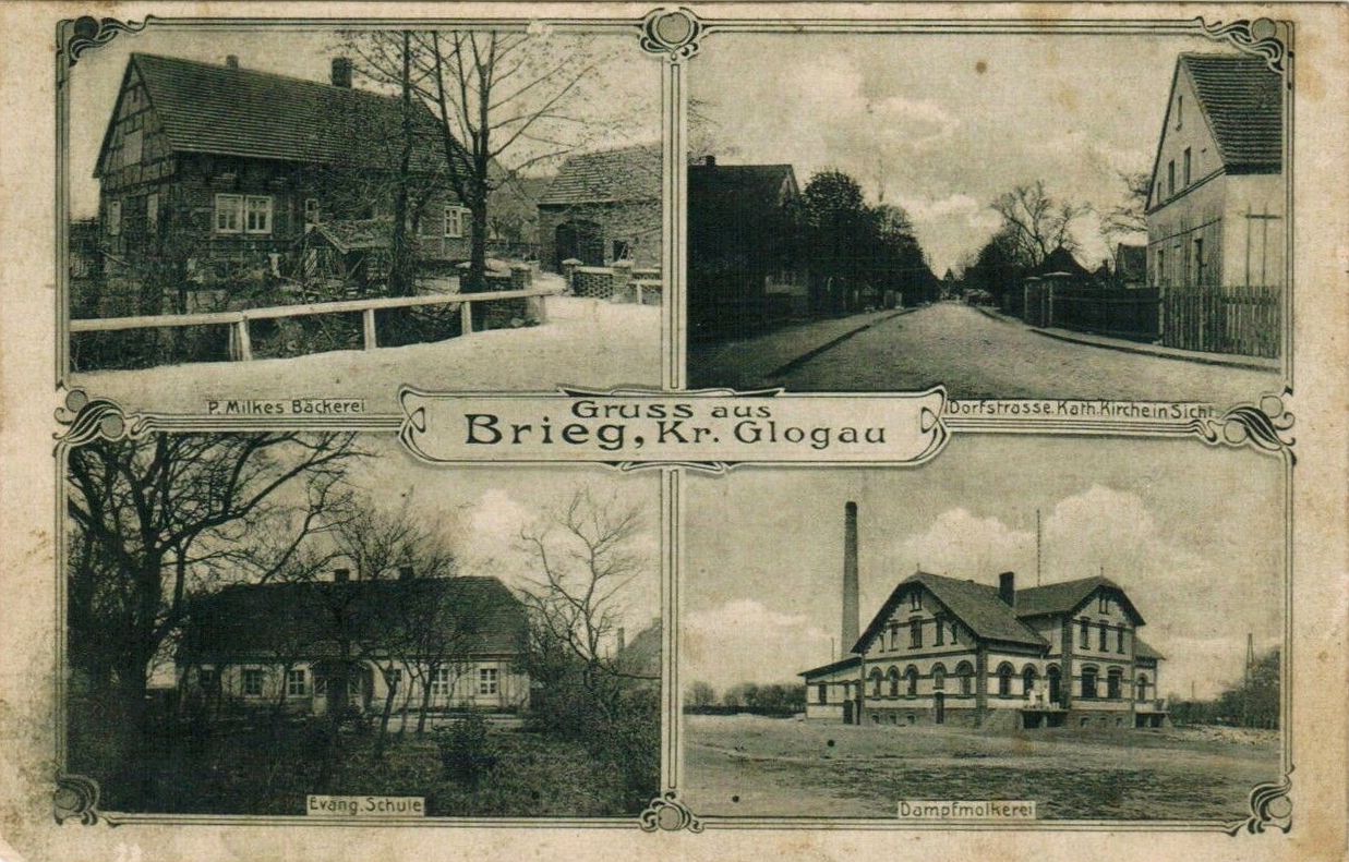 Brzeg Głogowski - zdjęcie 1