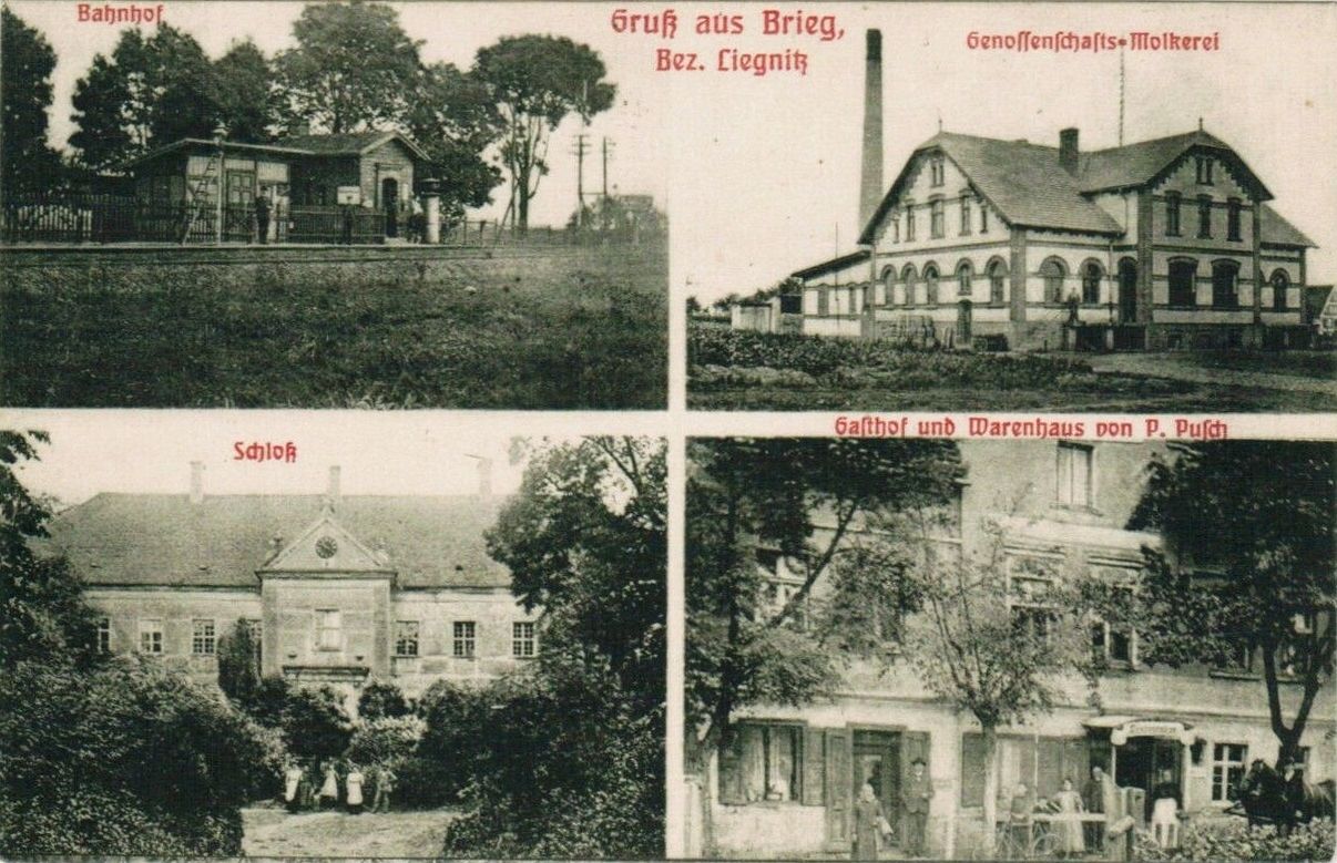 Brzeg Głogowski - zdjęcie 2