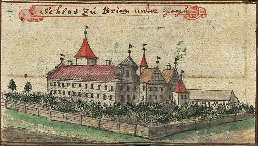 Brzeg Głogowski - zdjęcie 7