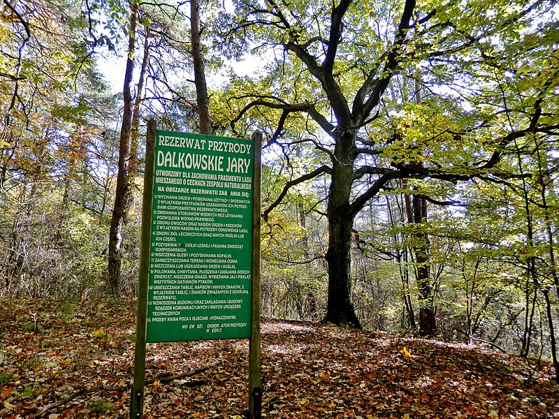 Tablica informacyjna Dalkowskie Jary