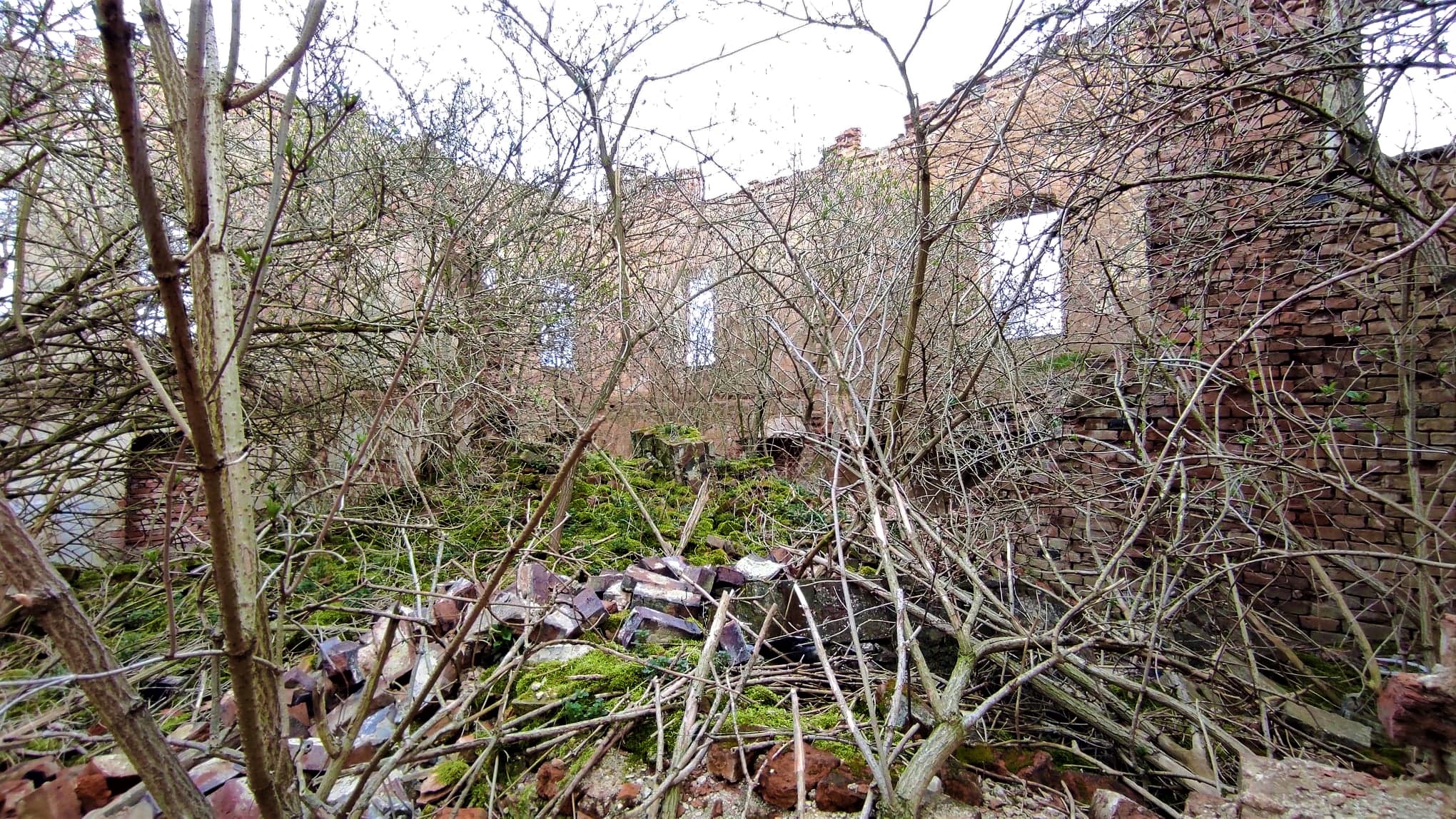 Wnętrze ruin pałacu