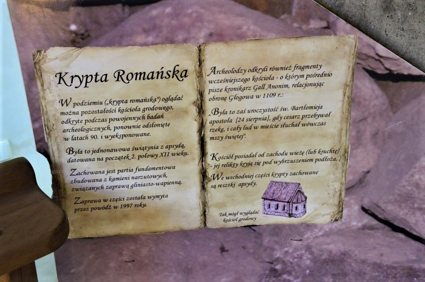 Opis krypty znajdującej się w podziemiach Kolegiaty