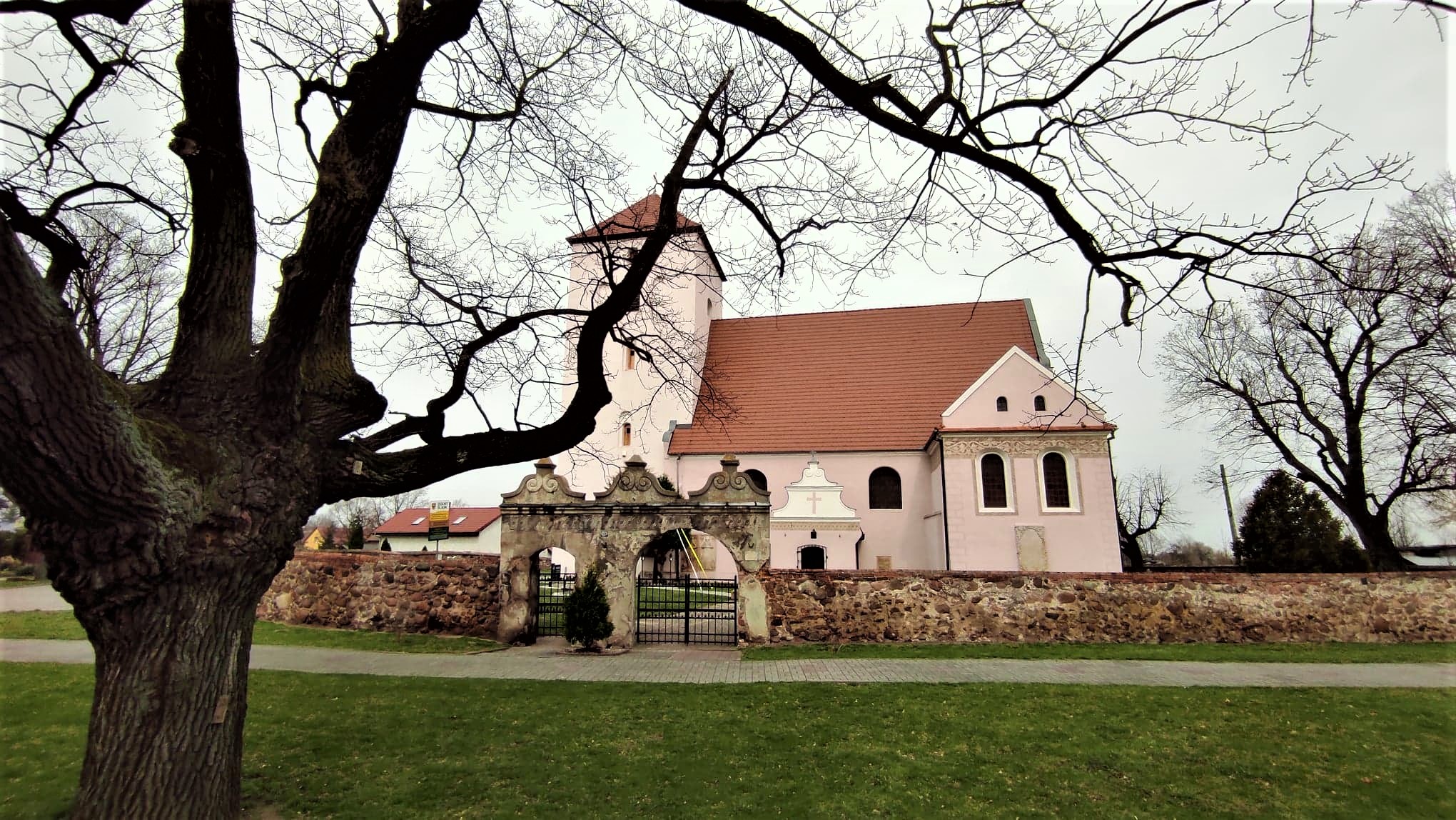 Drzewo, mur kościelny i kości&oacute;ł