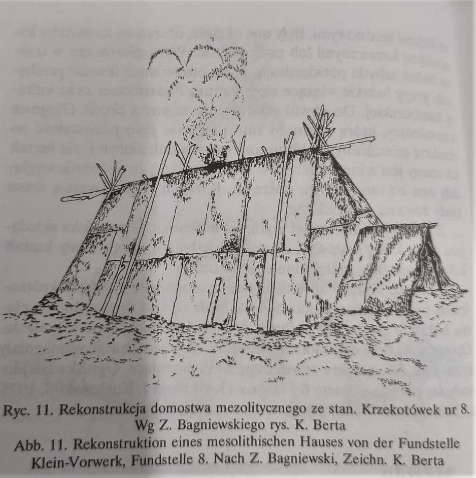 Domostwo mezolityczne