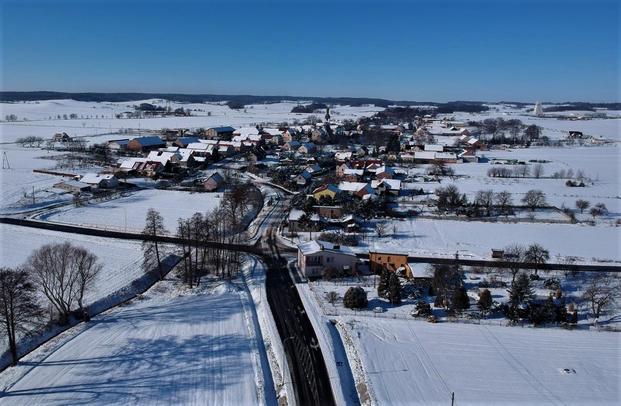 Kwielice z lotuy ptaka