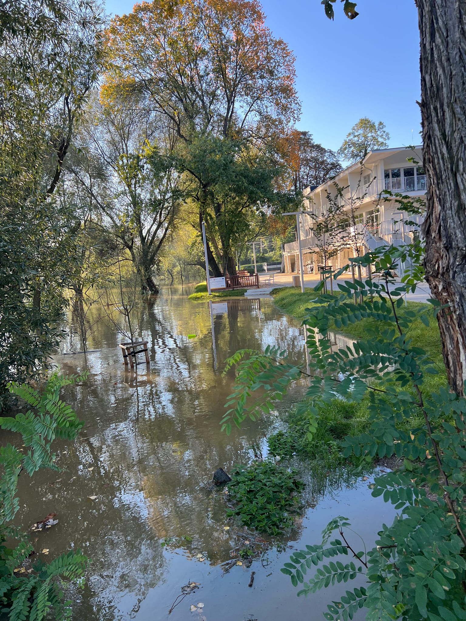 Zatoka Neptuna w sobotni poranek
