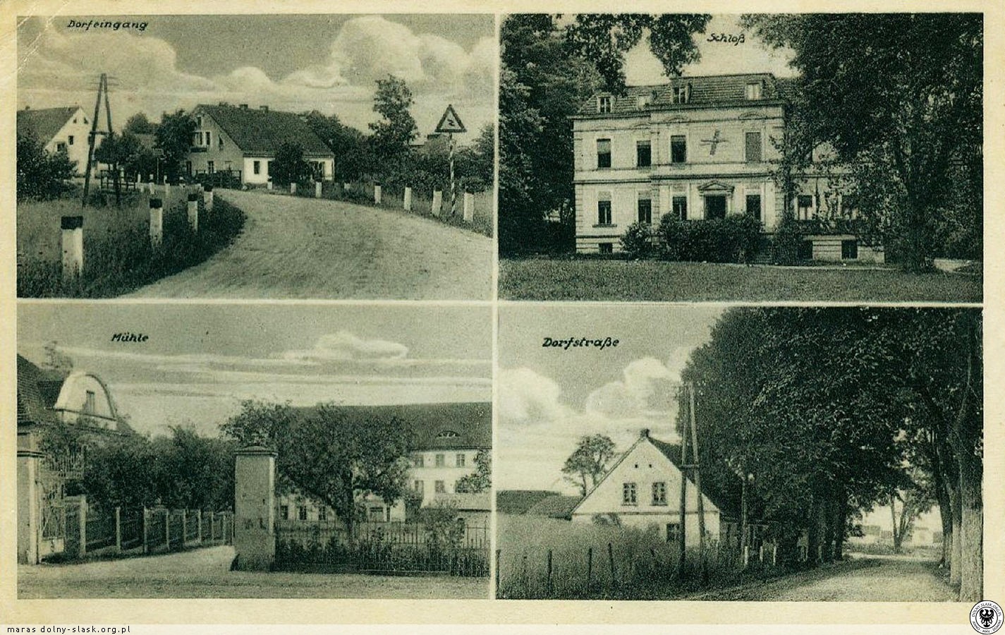 Żuk&oacute;w przed wojną