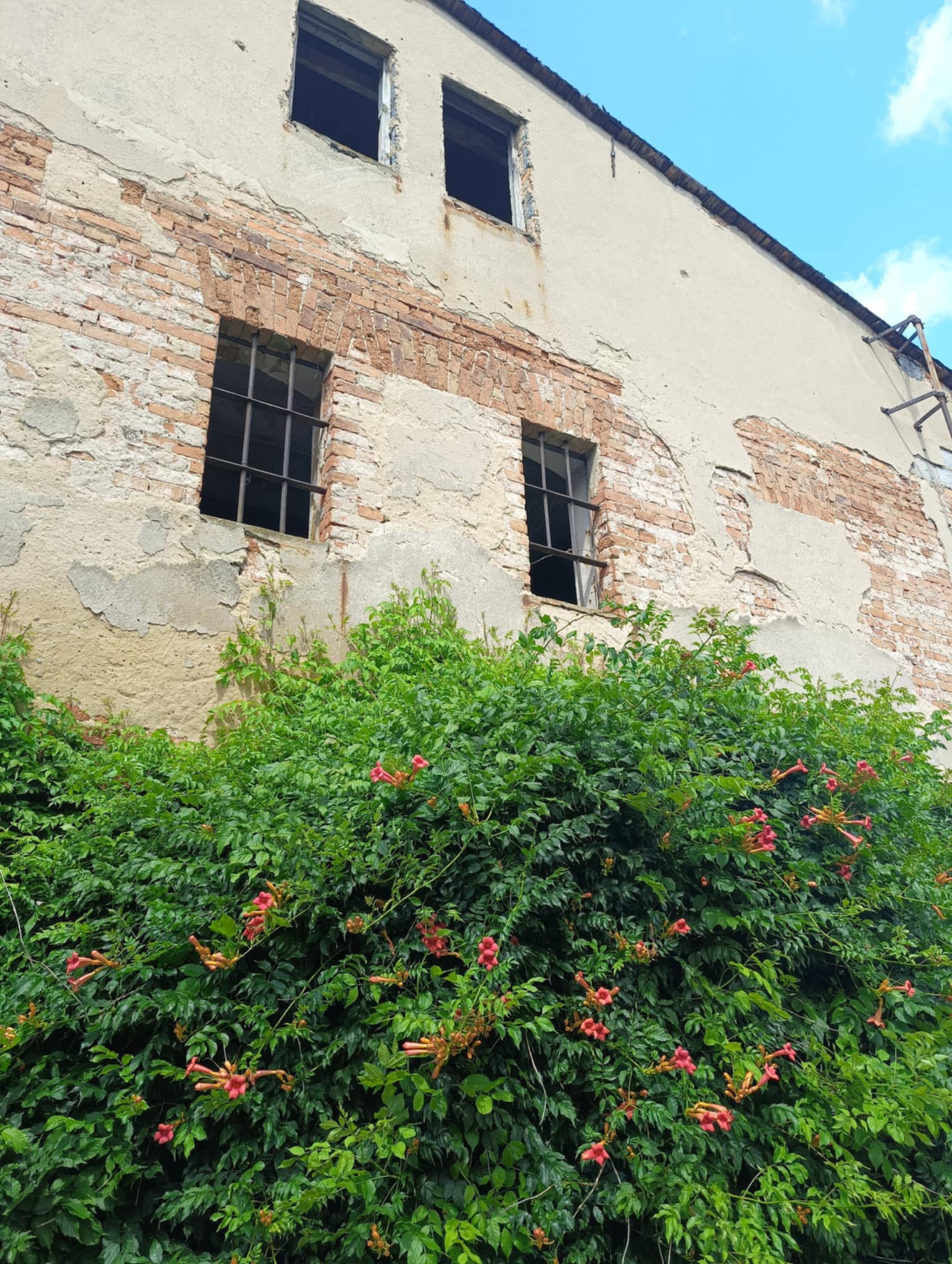 Resztki zabudowań dawnego folwarku
