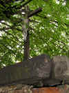 mkula_14.jpg (258508 bytes)