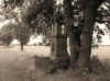 mkula_1.jpg (281483 bytes)
