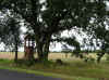 mkula_4.jpg (299068 bytes)