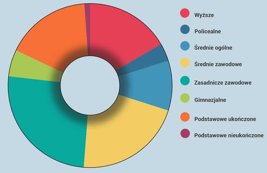 poziom wykształcenia na diagramie kołowym bez podanych wartości procentowych