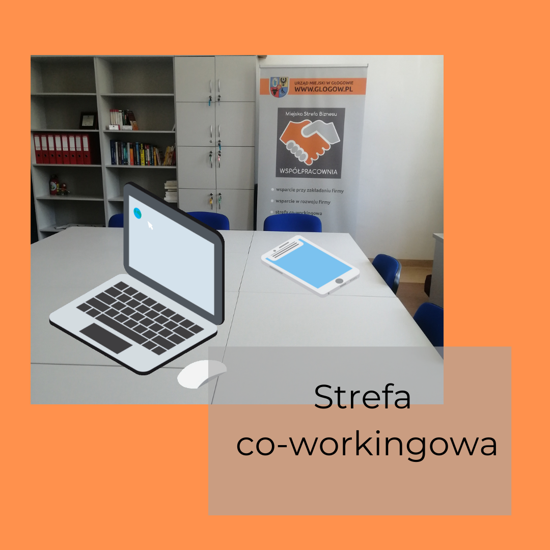 Strefa Co-workingowa